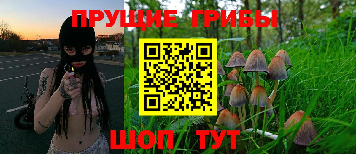 Галлюциногенные грибы Psilocybine cubensis Среднеуральск